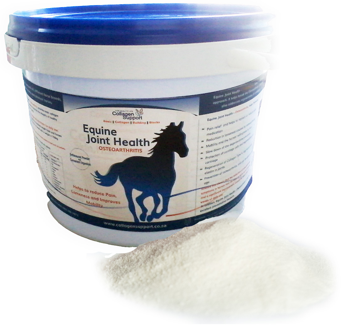 horsebucket